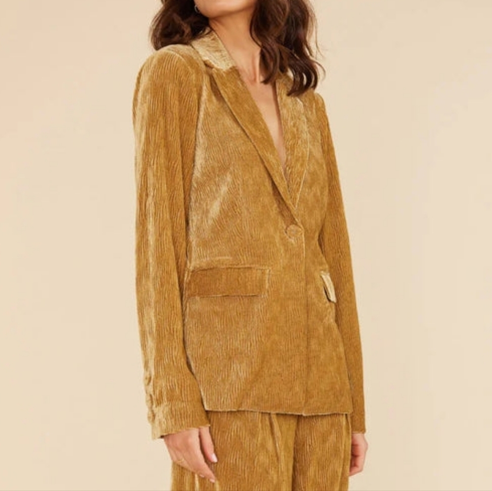 MINKPINK | $169 Arianna Velvet Blazer - Picture 5 of 5